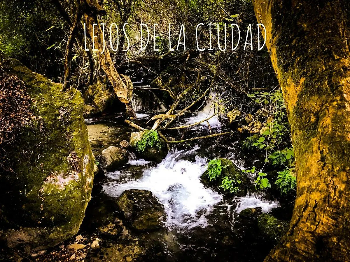 El Bosque, tu entrada a la Sierra Gaditana. Apartamento El Bosque (Cadiz)