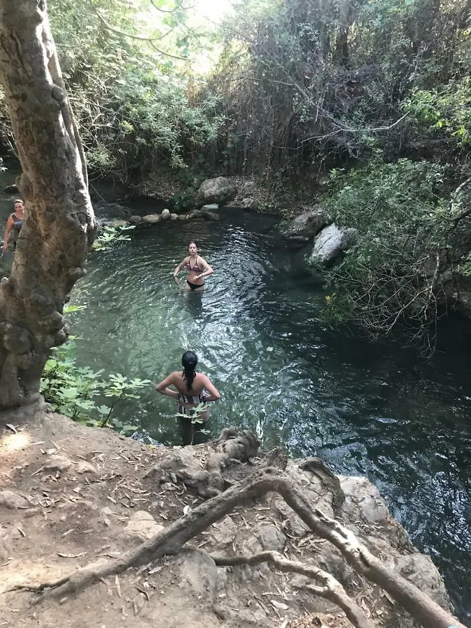 El Bosque, tu entrada a la Sierra Gaditana. Apartamento El Bosque (Cadiz)