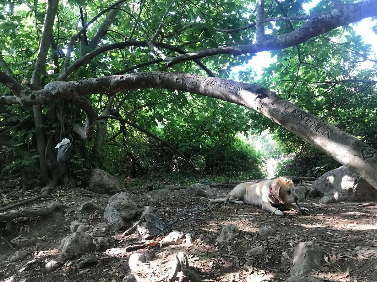 El Bosque, tu entrada a la Sierra Gaditana. 0*, El Bosque (Cadiz)