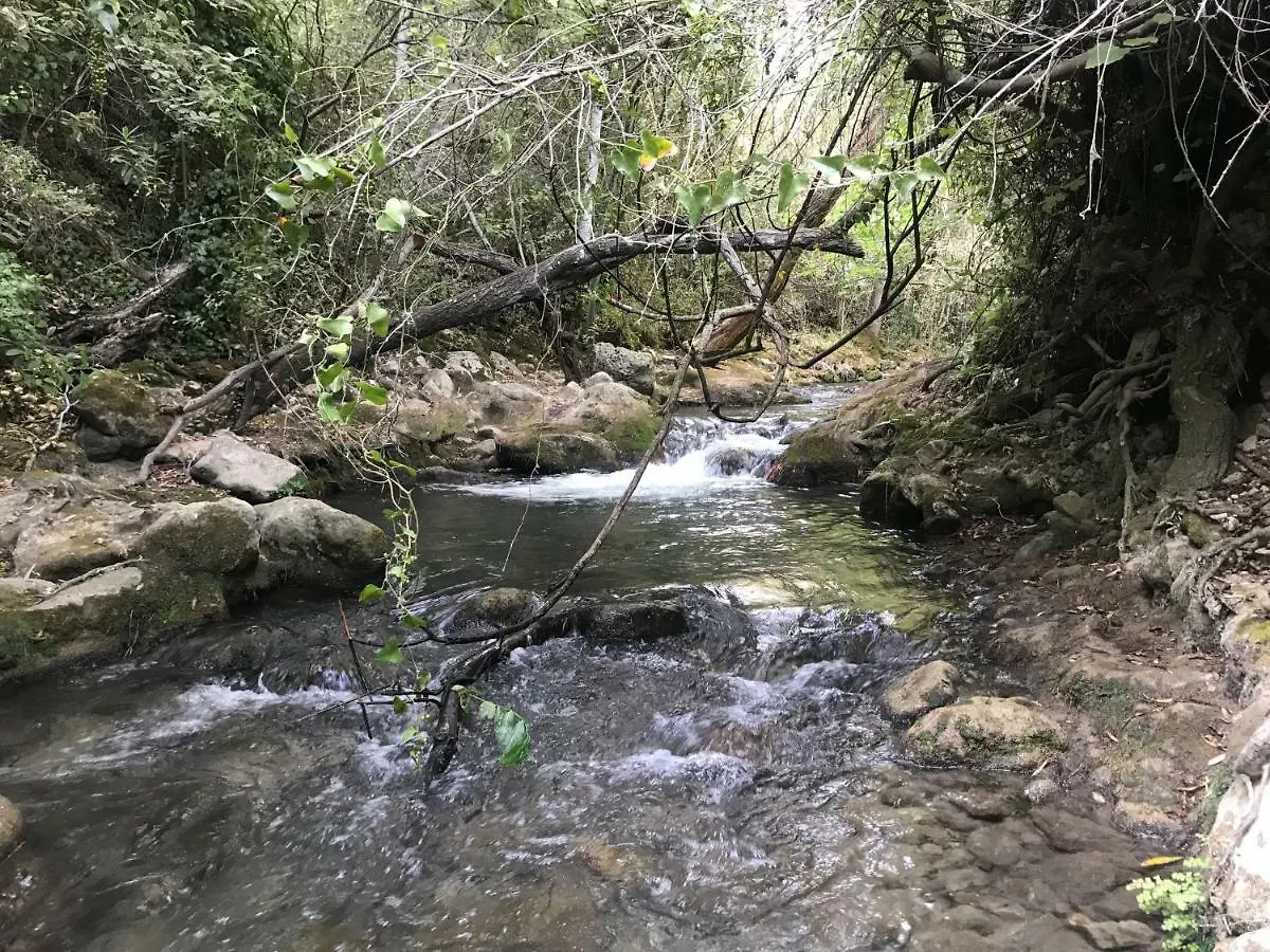 El Bosque, tu entrada a la Sierra Gaditana. Apartamento